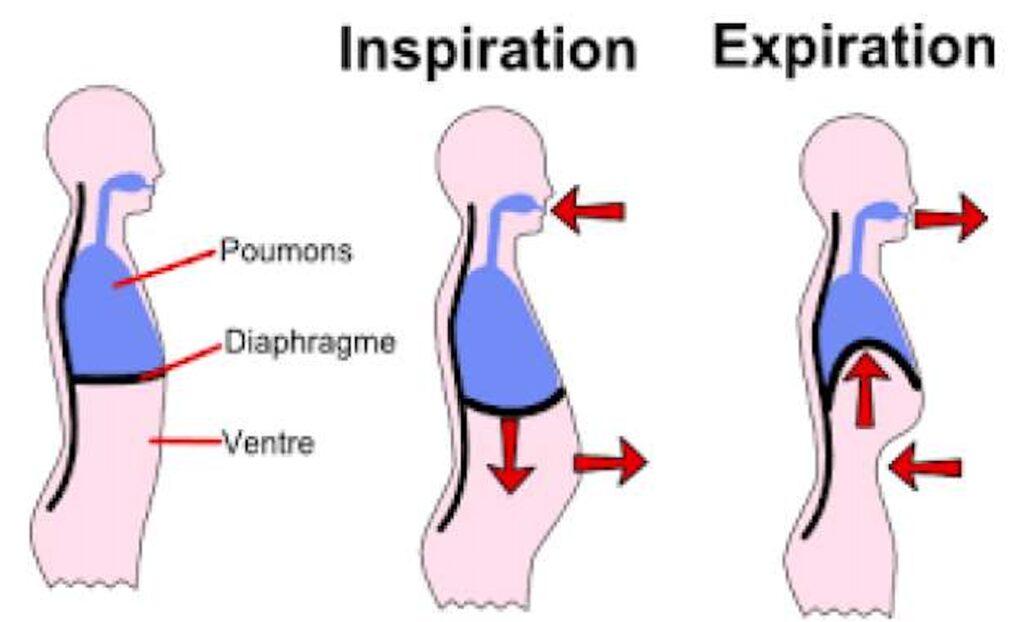 apprendre à respirer